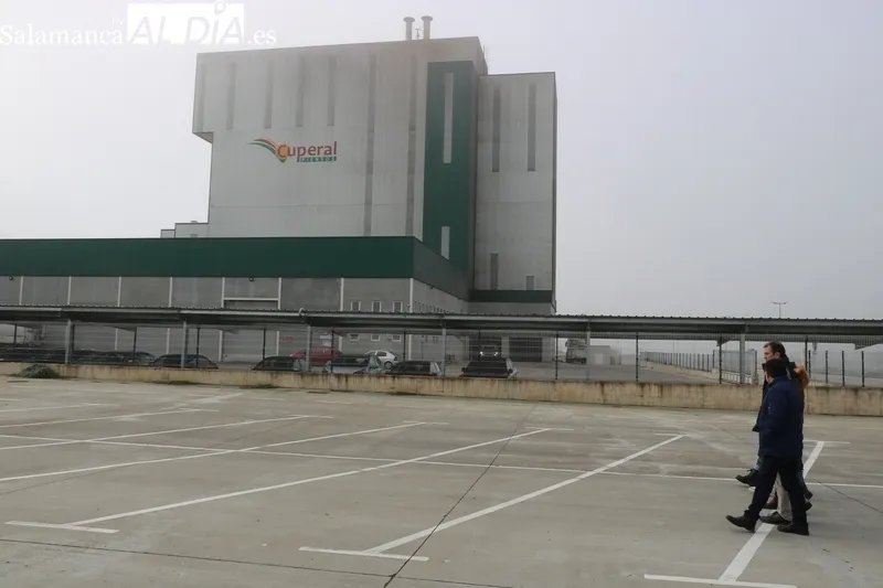 El polígono agroalimentario de Vitigudino dispone de 24 parcelas para el asentamiento de empresas / CORRAL