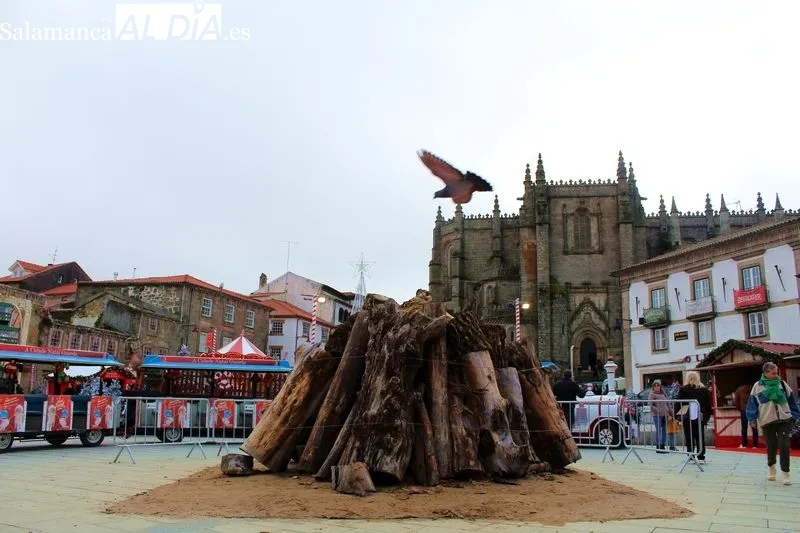 Navidad en Guarda (Portugal) | MARTÍN-GARAY