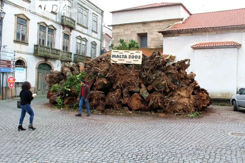 Cuenta atrás para prender el mayor Madero de Portugal (en Penamacor) | MARTÍN-GARAY