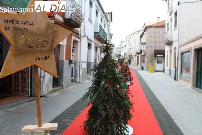 'Sabugal Presépio'- Navidad en Sabugal (Portugal) | MARTÍN-GARAY