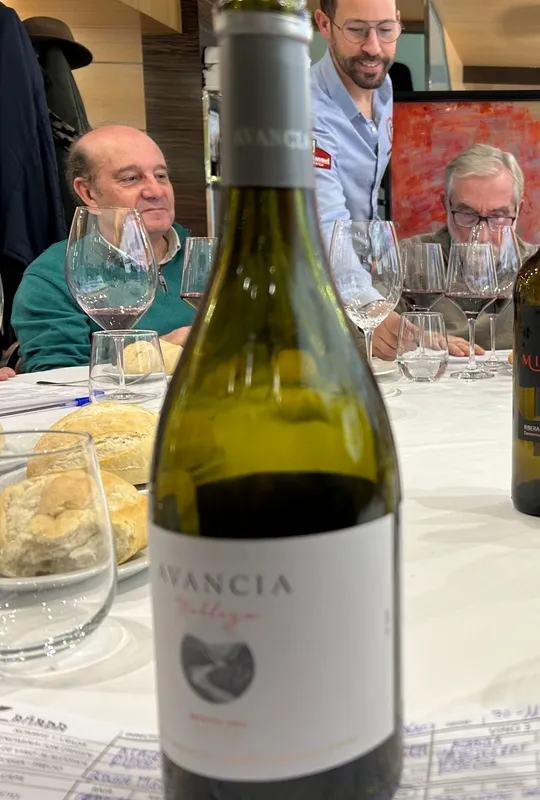 Cata ciega de Avancia 'Nobleza' Reserva 2021 por la Asociación Enológica Cata Añada / FOTOS: JAVIER BRAGADO 