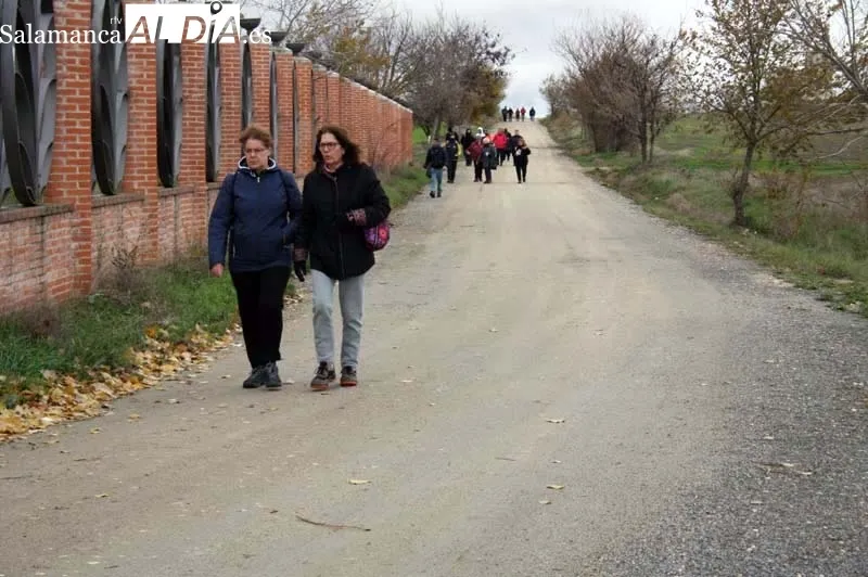 Peñaranda acogía este lunes una nueva edición del proyecto 'Libera, unidos contra la basuraleza' en el parque El Inestal