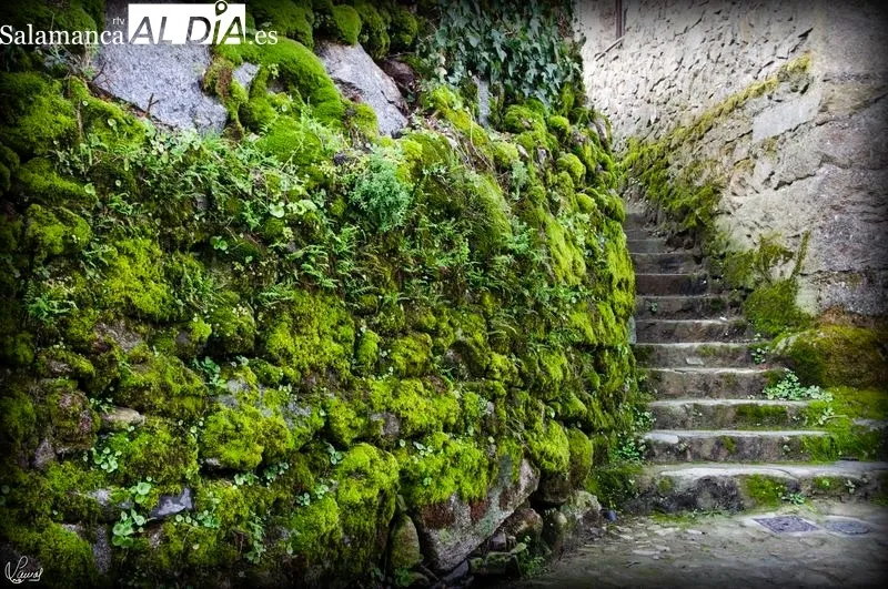 La Alberca (Salamanca). Foto de Manuel Lamas
