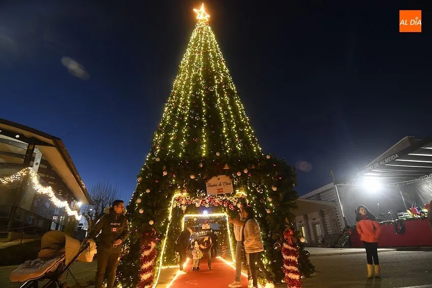 Foto 5 - Un gran pino iluminado une Espa&ntilde;a y Portugal en el I Mercado navide&ntilde;o