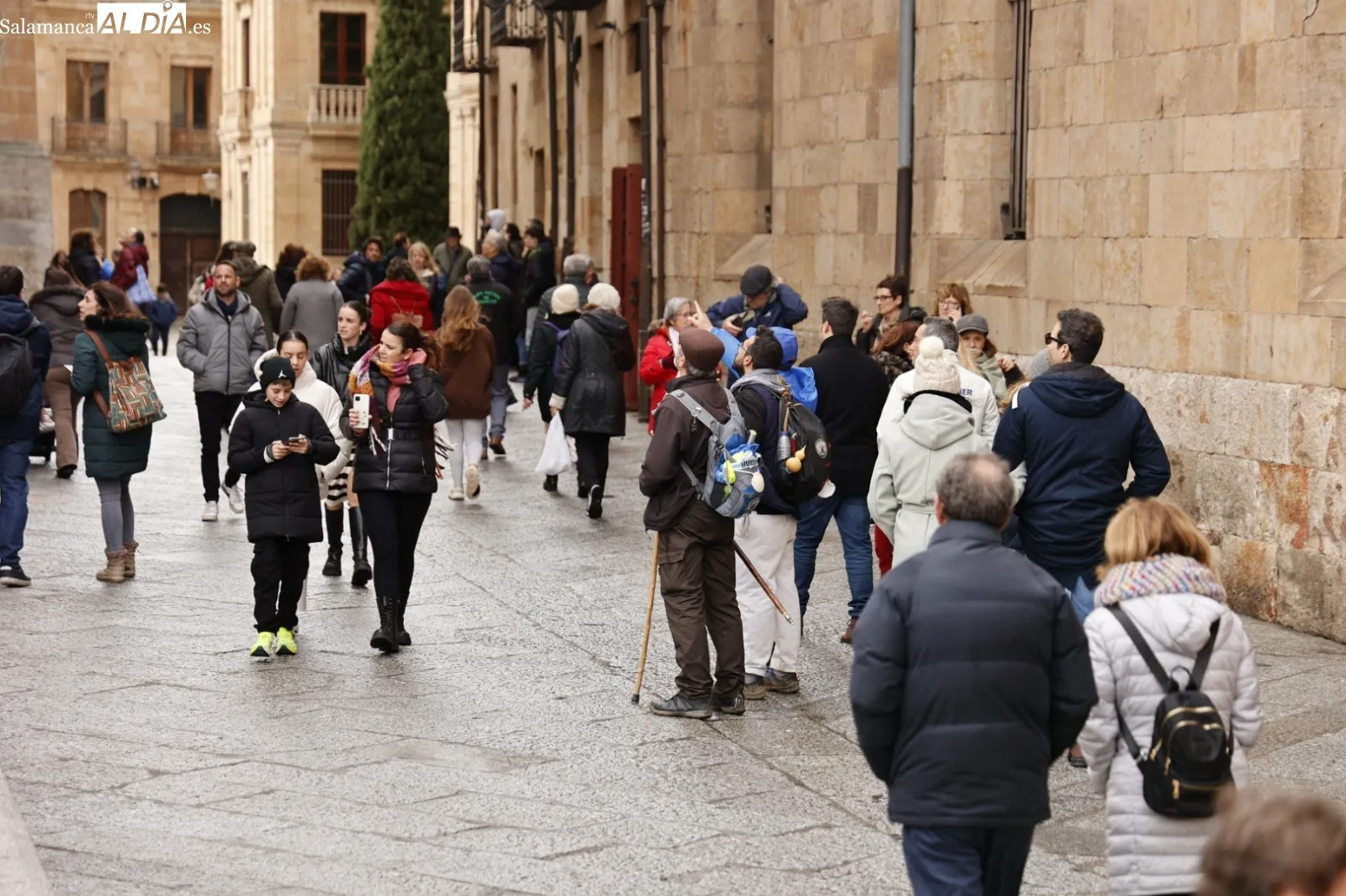Grupos de turistas en visitas guiadas por Salamanca. Fotos: David Sañudo