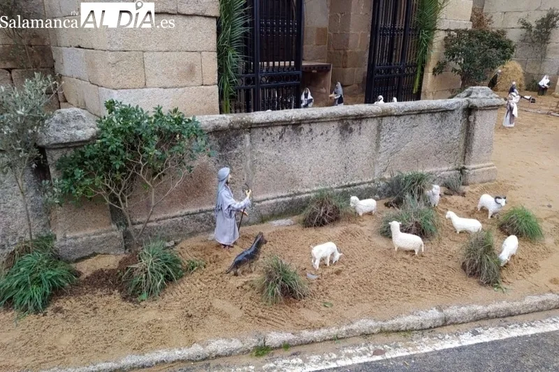 Los vecinos de Villavieja procedían este miércoles a instalar el belén artesanal del Ayuntamiento en los aledaños de la iglesia