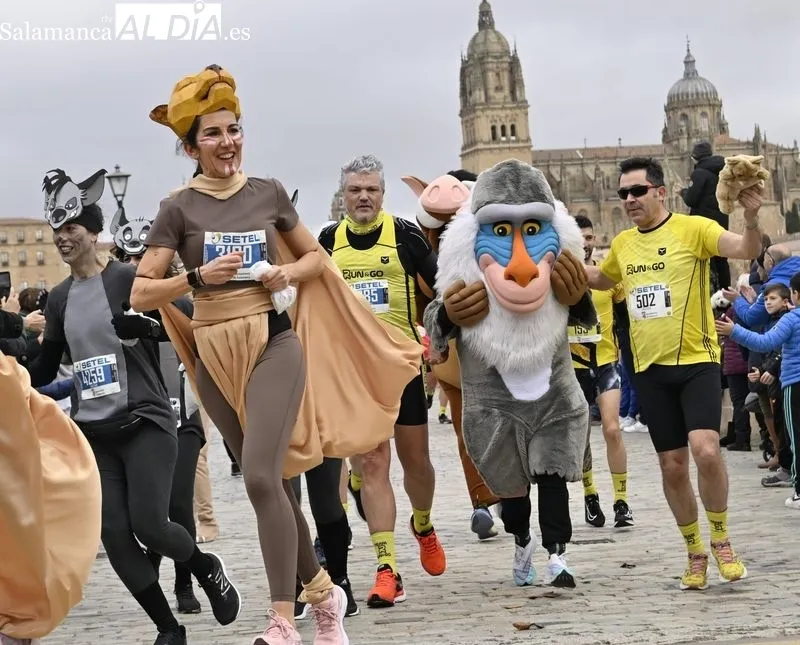 Galería de imágenes / Fotos: SALAMANCArtv AL DÍA