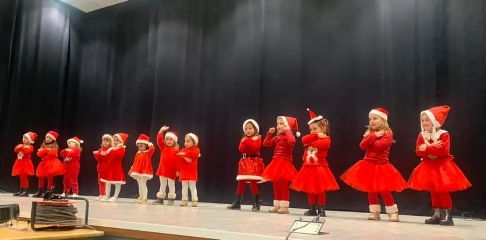 Festival Solidario de Doñinos de Salamanca 