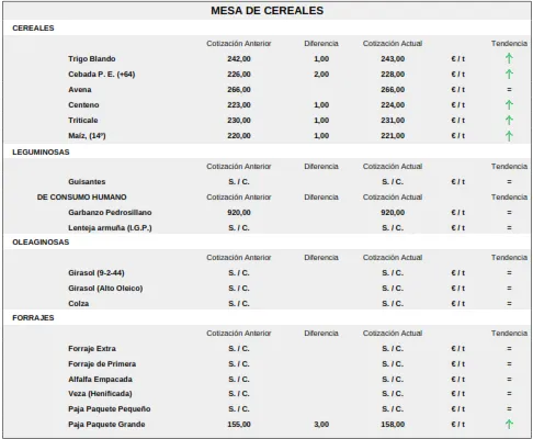 Foto 10 - El precio de los lechazos se mantiene estancado mientras la paja vuelve a subir con el cereal y los tostones