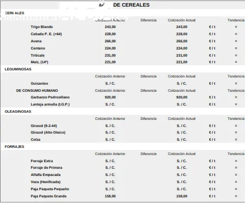Foto 3 - El paso de la Navidad marca la bajada del precio en lechazos, corderos y tostones