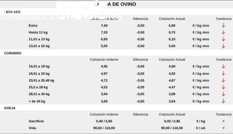 Foto 4 - El paso de la Navidad marca la bajada del precio en lechazos, corderos y tostones