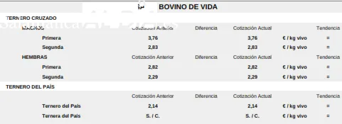Foto 6 - El paso de la Navidad marca la bajada del precio en lechazos, corderos y tostones