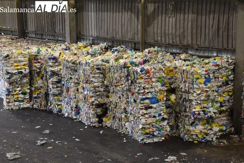 Planta de selección de envases de Salamanca, gestionada por Ecoembes y que recibe cada mes 250 toneladas de material. Foto de Vanesa Martins