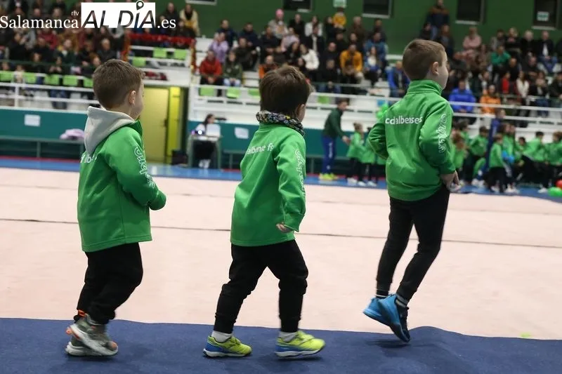 Foto 8 - Las Escuelas Piensos Dur&aacute;n Albense se presentan en la tradicional gala de Navidad