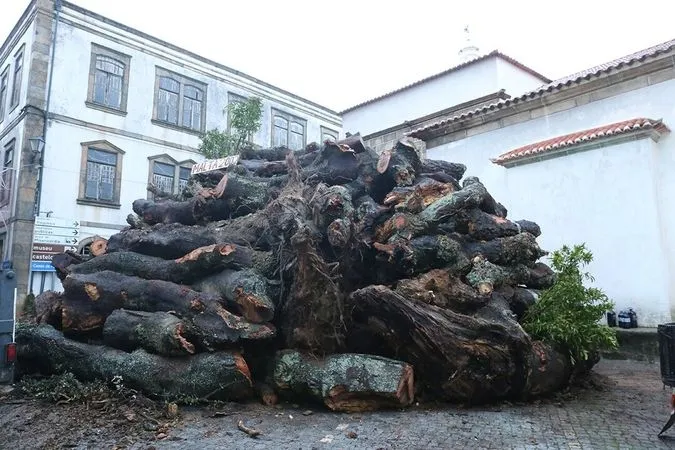 Foto 6 - Ya llega el Madero a Penamacor
