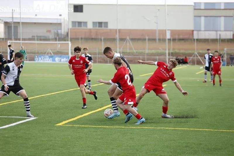 Galería de imágenes / Fotos: David Sañudo