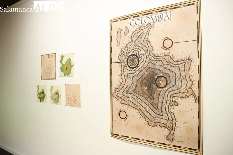 ‘Cartografía de la Humedad. La casa de los Líquenes Rosa’, del artista colombiano Adrián Estrada, en la Sala de Exposiciones Espacio de Arte Experimental de la Hospedería Fonseca
