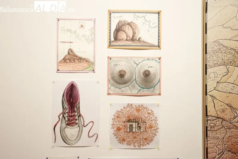 ‘Cartografía de la Humedad. La casa de los Líquenes Rosa’, del artista colombiano Adrián Estrada, en la Sala de Exposiciones Espacio de Arte Experimental de la Hospedería Fonseca