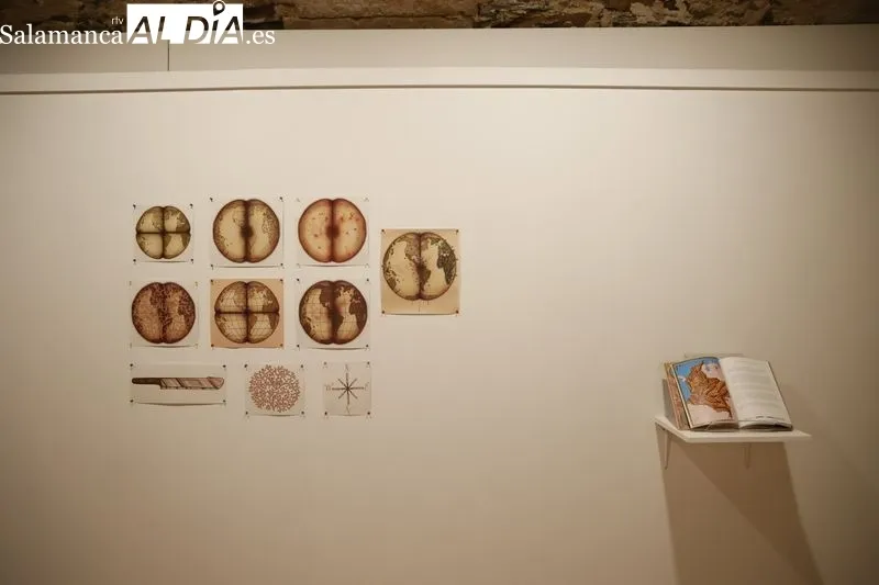 ‘Cartografía de la Humedad. La casa de los Líquenes Rosa’, del artista colombiano Adrián Estrada, en la Sala de Exposiciones Espacio de Arte Experimental de la Hospedería Fonseca