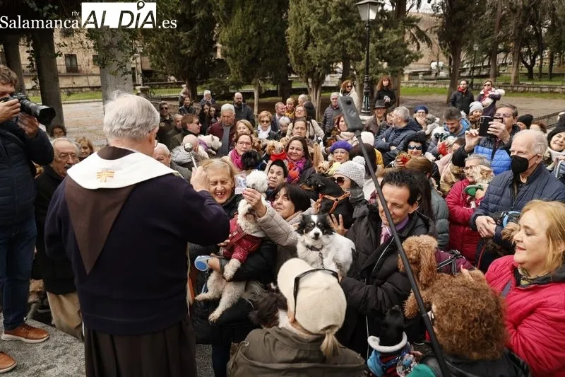 Salamanca bendice a sus animales en el Campo de San Francisco | FOTOS: David Sañudo 