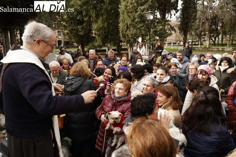 Salamanca bendice a sus animales en el Campo de San Francisco | FOTOS: David Sañudo 