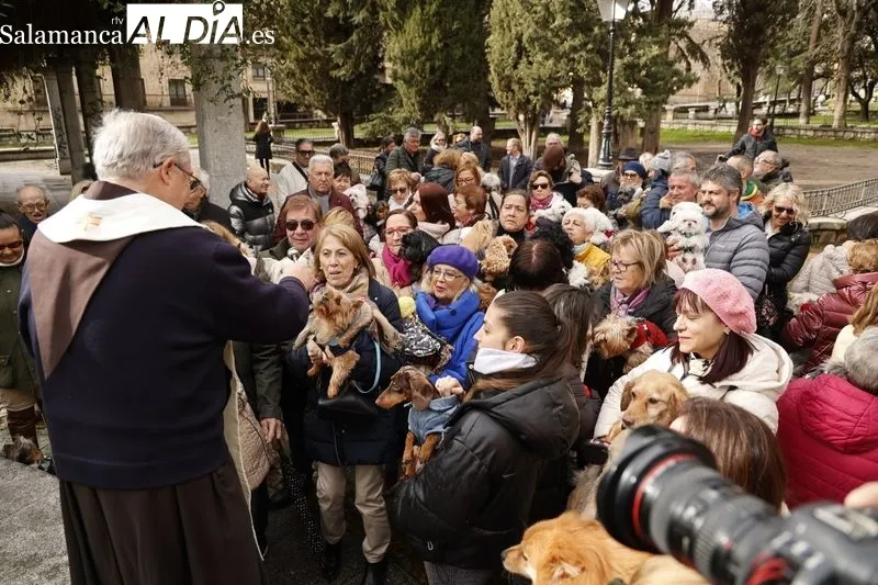 Salamanca bendice a sus animales en el Campo de San Francisco | FOTOS: David Sañudo 