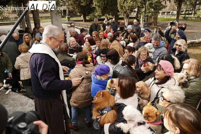 Salamanca bendice a sus animales en el Campo de San Francisco | FOTOS: David Sañudo 