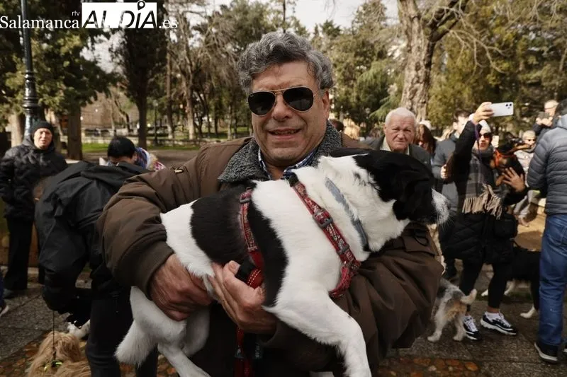 Salamanca bendice a sus animales en el Campo de San Francisco | FOTOS: David Sañudo 