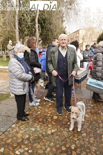 Salamanca bendice a sus animales en el Campo de San Francisco | FOTOS: David Sañudo 