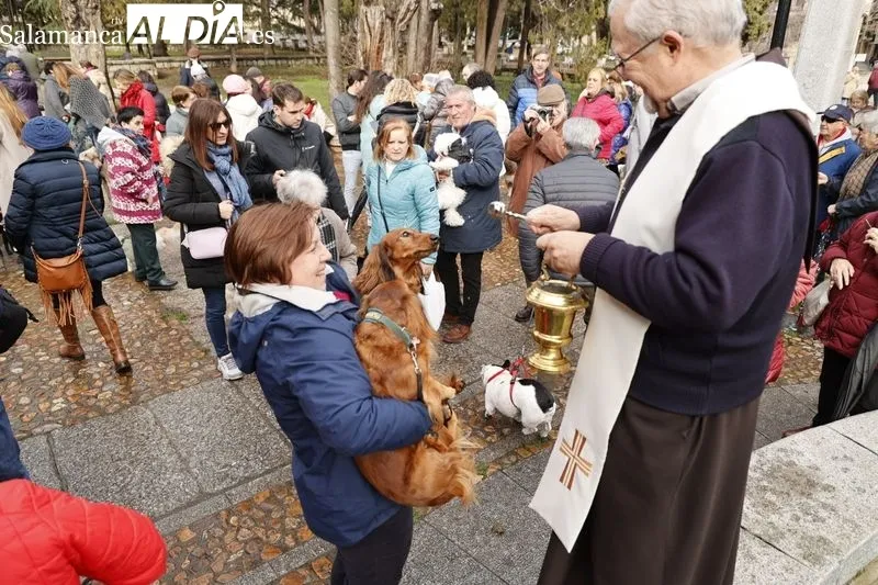 Salamanca bendice a sus animales en el Campo de San Francisco | FOTOS: David Sañudo 