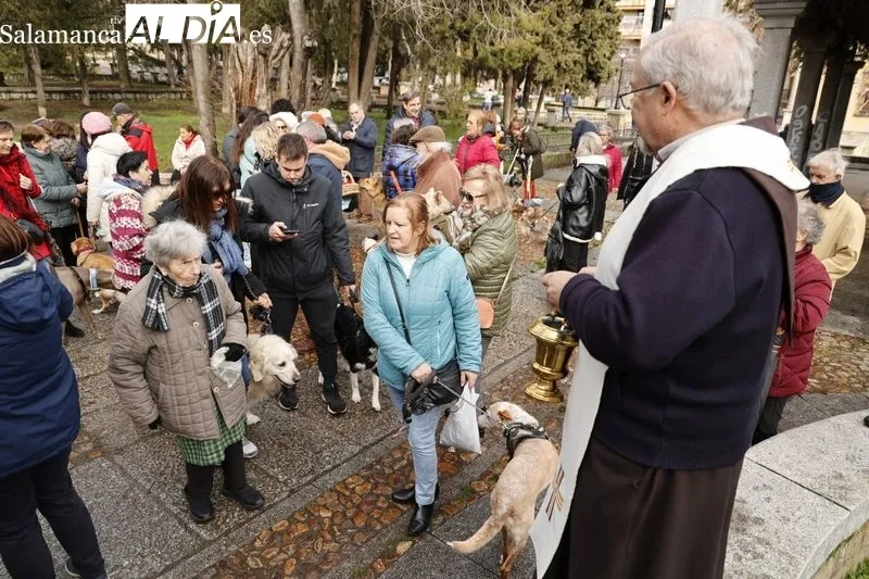 Salamanca bendice a sus animales en el Campo de San Francisco | FOTOS: David Sañudo 