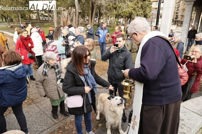 Salamanca bendice a sus animales en el Campo de San Francisco | FOTOS: David Sañudo 