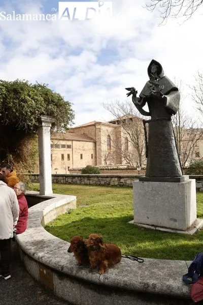 Salamanca bendice a sus animales en el Campo de San Francisco | FOTOS: David Sañudo 