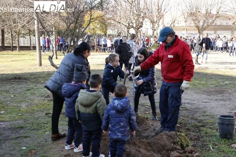 Plantación de árboles frutales en el Colegio Maristas de Salamanca | FOTOS: David Sañudo 