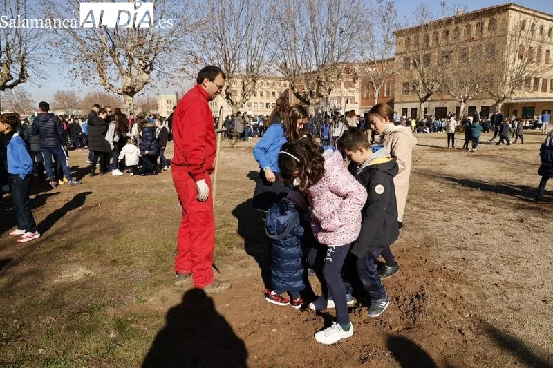 Plantación de árboles frutales en el Colegio Maristas de Salamanca | FOTOS: David Sañudo 