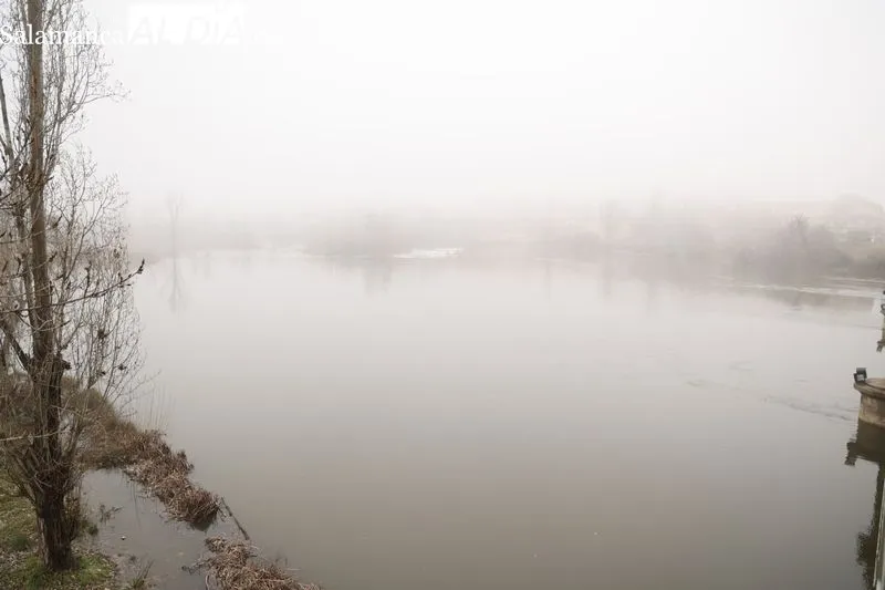 Así luce el Río Tormes a su paso por Salamanca | FOTOS: David Sañudo 