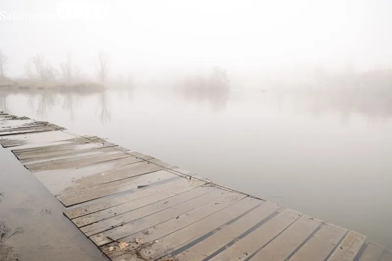 Así luce el Río Tormes a su paso por Salamanca | FOTOS: David Sañudo 
