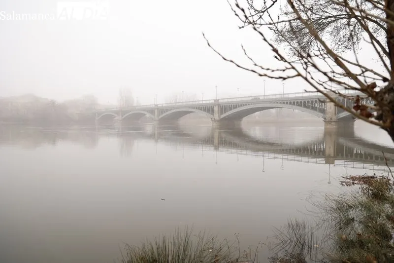 Así luce el Río Tormes a su paso por Salamanca | FOTOS: David Sañudo 