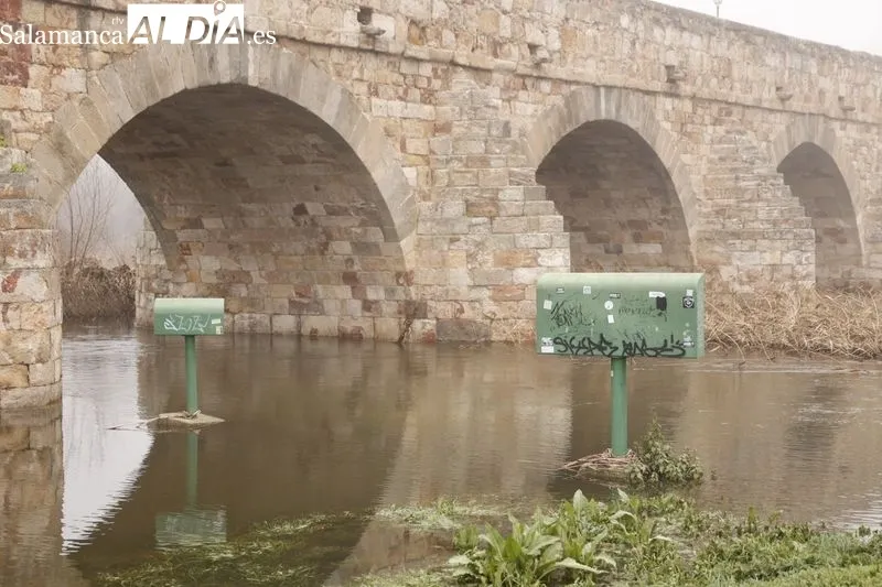 Así luce el Río Tormes a su paso por Salamanca | FOTOS: David Sañudo 