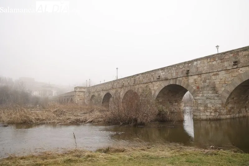 Así luce el Río Tormes a su paso por Salamanca | FOTOS: David Sañudo 