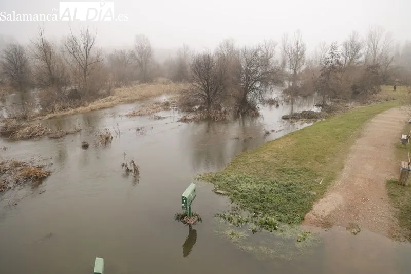 Así luce el Río Tormes a su paso por Salamanca | FOTOS: David Sañudo 