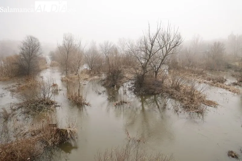 Así luce el Río Tormes a su paso por Salamanca | FOTOS: David Sañudo 