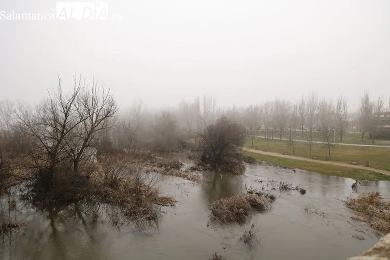 Así luce el Río Tormes a su paso por Salamanca | FOTOS: David Sañudo 