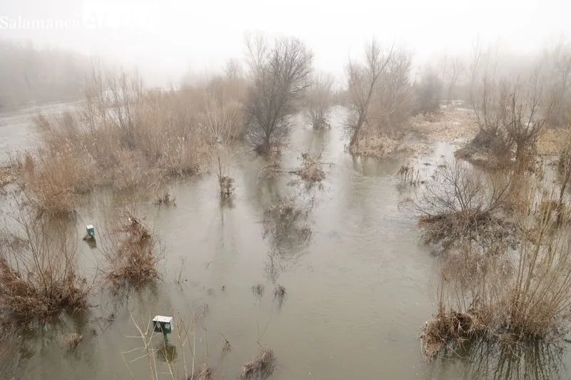 Así luce el Río Tormes a su paso por Salamanca | FOTOS: David Sañudo 