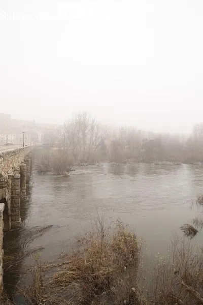 Así luce el Río Tormes a su paso por Salamanca | FOTOS: David Sañudo 