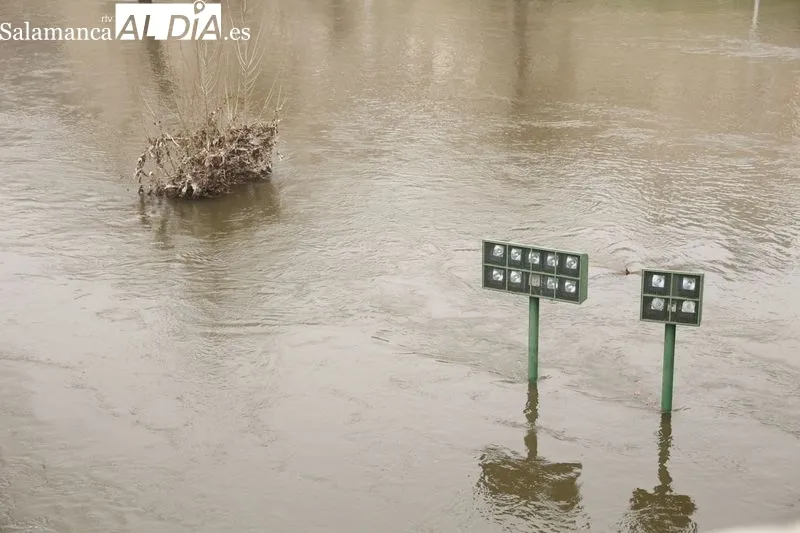 Así luce el Río Tormes a su paso por Salamanca | FOTOS: David Sañudo 