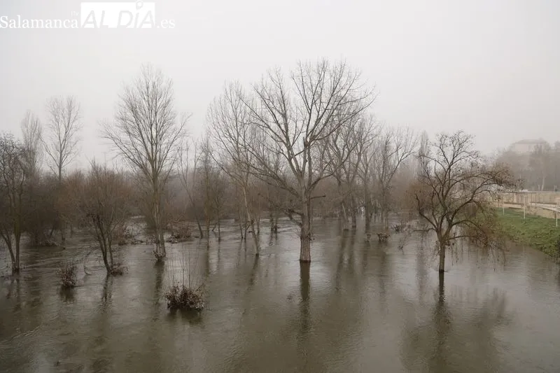 Así luce el Río Tormes a su paso por Salamanca | FOTOS: David Sañudo 