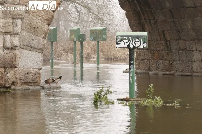 Así luce el Río Tormes a su paso por Salamanca | FOTOS: David Sañudo 