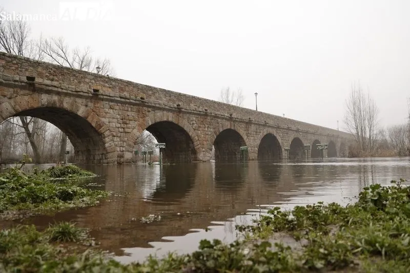 Así luce el Río Tormes a su paso por Salamanca | FOTOS: David Sañudo 