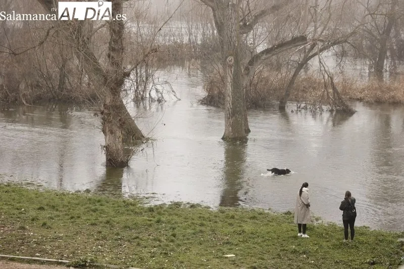 Así luce el Río Tormes a su paso por Salamanca | FOTOS: David Sañudo 
